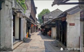 春雨直播app